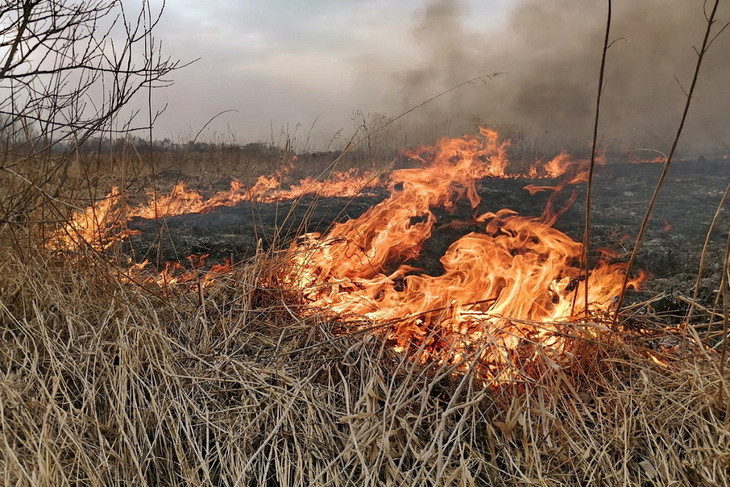 Губкинцев предупреждают: пал сухой травы может привести к пожару