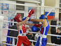 В Губкине состоялся турнир по боксу «Zа Победу!»