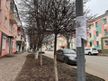 Штраф до 80 тысяч рублей получат губкинцы, расклеивающие объявления на столбах и фасадах домов